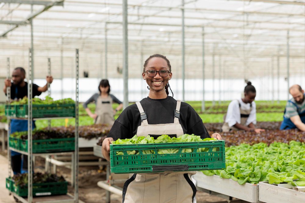 Agribusiness & Organic Trade Advisory